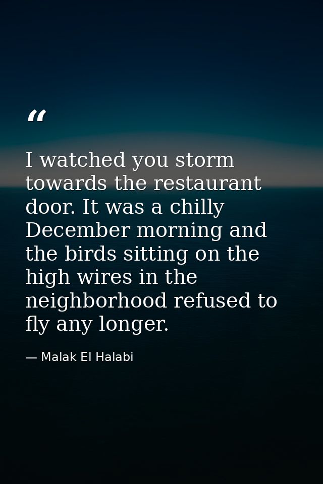 I watched you storm towards the restaurant door. It was a chilly December morning and the birds sitting on the high wire — Malak El Halabi