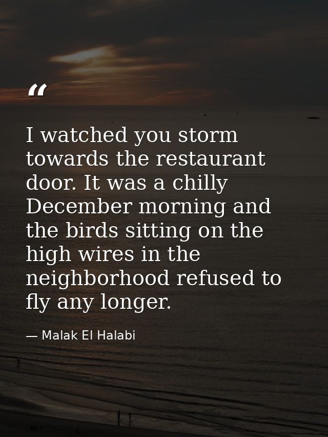 I watched you storm towards the restaurant door. It was a chilly December morning and the birds sitting on the high wire — Malak El Halabi