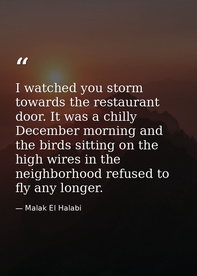 I watched you storm towards the restaurant door. It was a chilly December morning and the birds sitting on the high wire — Malak El Halabi