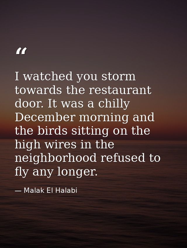 I watched you storm towards the restaurant door. It was a chilly December morning and the birds sitting on the high wire — Malak El Halabi