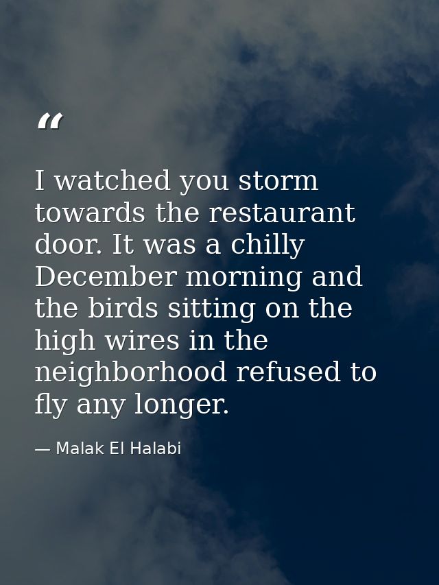 I watched you storm towards the restaurant door. It was a chilly December morning and the birds sitting on the high wire — Malak El Halabi