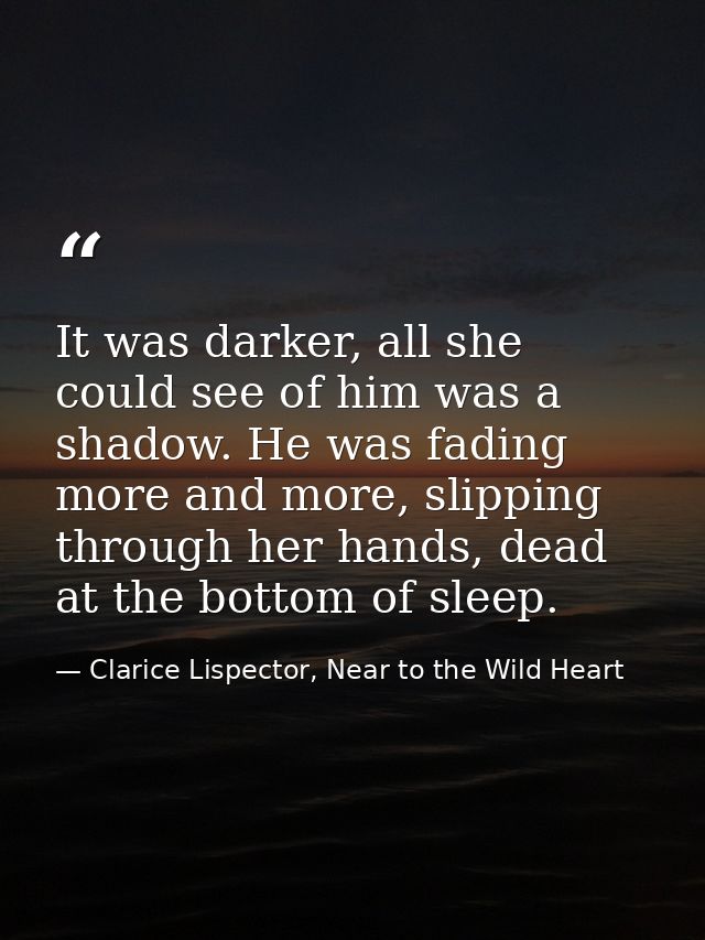 It was darker, all she could see of him was a shadow. He was fading more and more, slipping through her hands, dead at t — Clarice Lispector, Near to the Wild Heart
