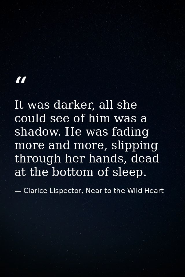 It was darker, all she could see of him was a shadow. He was fading more and more, slipping through her hands, dead at t — Clarice Lispector, Near to the Wild Heart