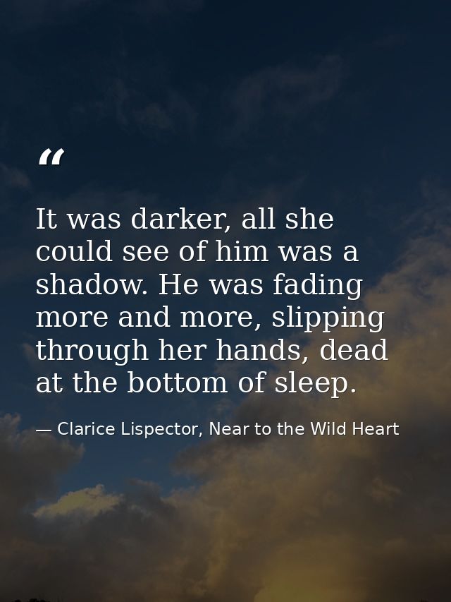 It was darker, all she could see of him was a shadow. He was fading more and more, slipping through her hands, dead at t — Clarice Lispector, Near to the Wild Heart