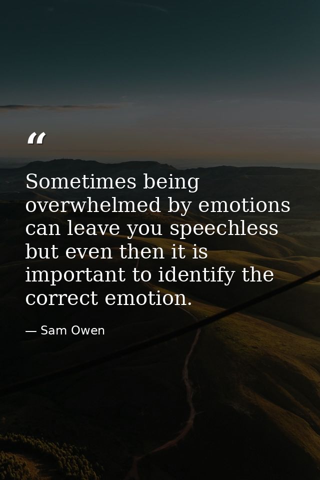 Sometimes being overwhelmed by emotions can leave you speechless but even then it is important to identify the correct e — Sam Owen