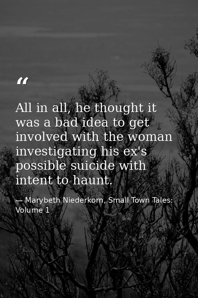 All in all, he thought it was a bad idea to get involved with the woman investigating his ex's possible suicide with int — Marybeth Niederkorn, Small Town Tales: Volume 1