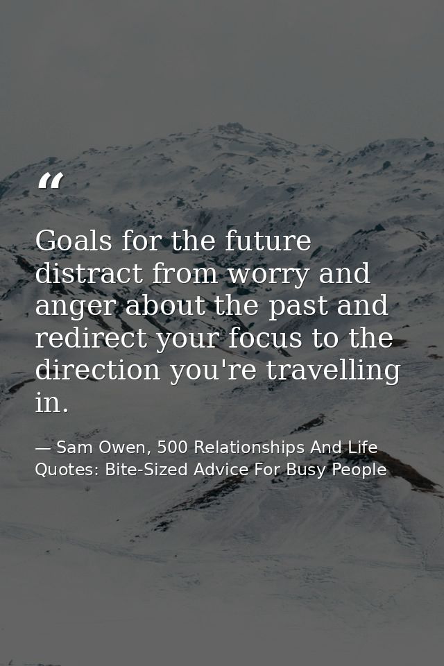 Goals for the future distract from worry and anger about the past and redirect your focus to the direction you're travel — Sam Owen, 500 Relationships And Life Quotes: Bite-Sized Advice For Busy People