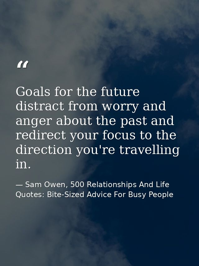 Goals for the future distract from worry and anger about the past and redirect your focus to the direction you're travel — Sam Owen, 500 Relationships And Life Quotes: Bite-Sized Advice For Busy People