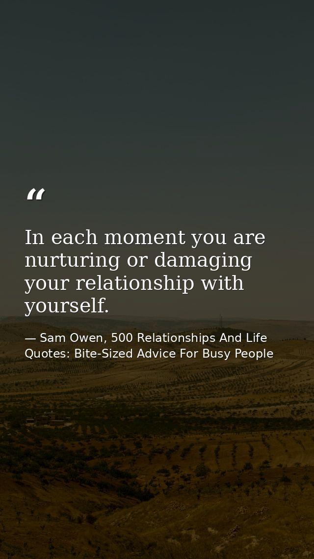 In each moment you are nurturing or damaging your relationship with yourself. — Sam Owen, 500 Relationships And Life Quotes: Bite-Sized Advice For Busy People