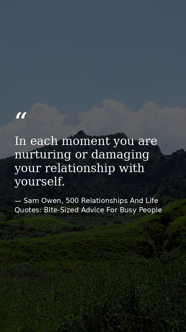 In each moment you are nurturing or damaging your relationship with yourself. — Sam Owen, 500 Relationships And Life Quotes: Bite-Sized Advice For Busy People