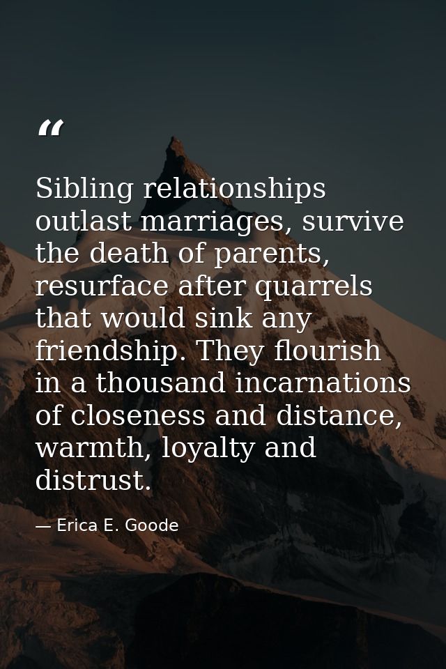 Sibling relationships outlast marriages, survive the death of parents, resurface after quarrels that would sink any frie — Erica E. Goode