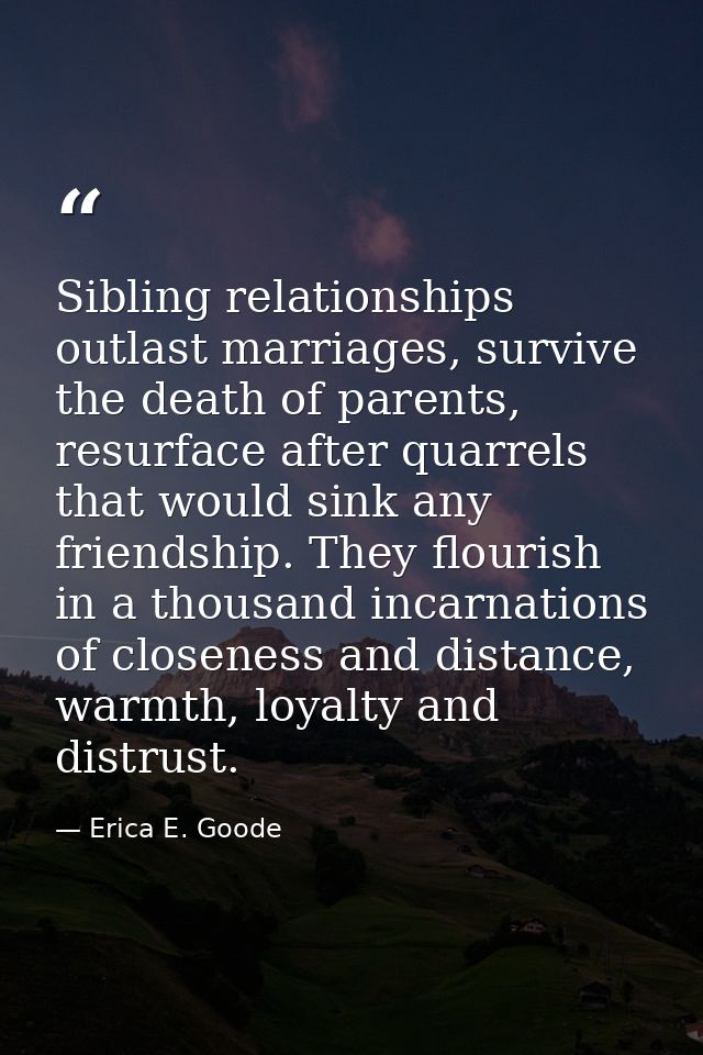 Sibling relationships outlast marriages, survive the death of parents, resurface after quarrels that would sink any frie — Erica E. Goode