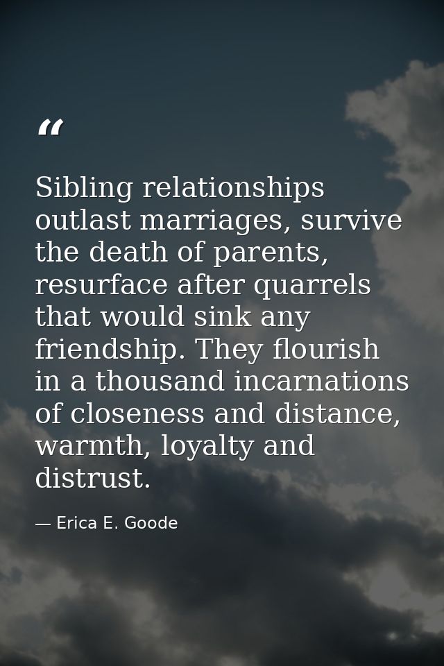 Sibling relationships outlast marriages, survive the death of parents, resurface after quarrels that would sink any frie — Erica E. Goode