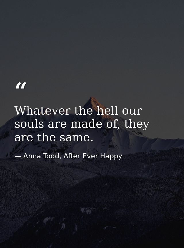 Whatever the hell our souls are made of, they are the same. — Anna Todd, After Ever Happy