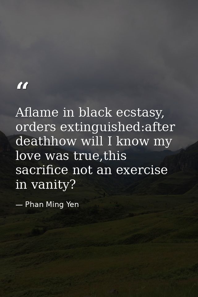 Aflame in black ecstasy, orders extinguished:after deathhow will I know my love was true,this sacrifice not an exercise  — Phan Ming Yen