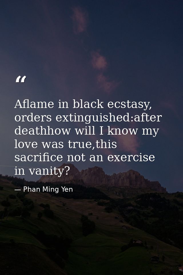 Aflame in black ecstasy, orders extinguished:after deathhow will I know my love was true,this sacrifice not an exercise  — Phan Ming Yen