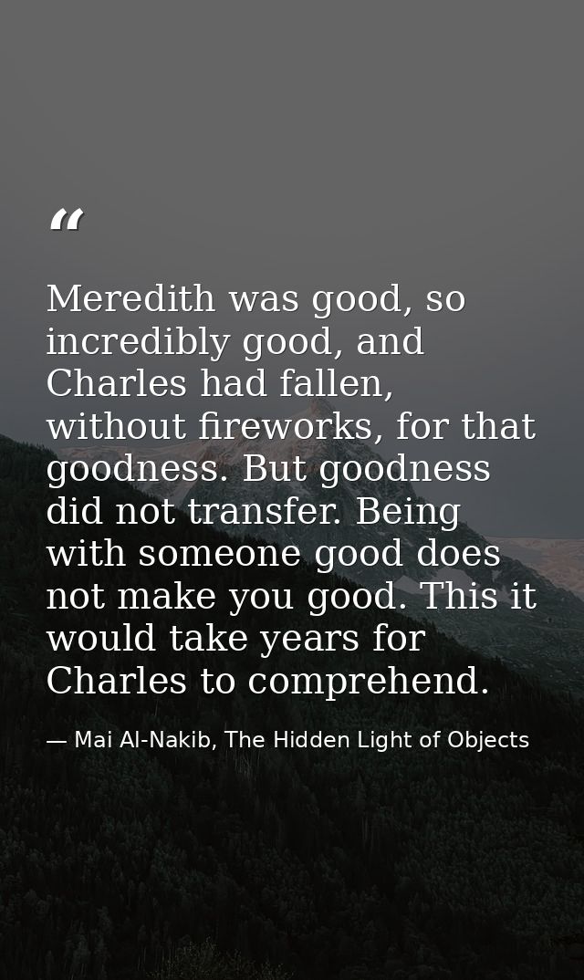 Meredith was good, so incredibly good, and Charles had fallen, without fireworks, for that goodness. But goodness did no — Mai Al-Nakib, The Hidden Light of Objects