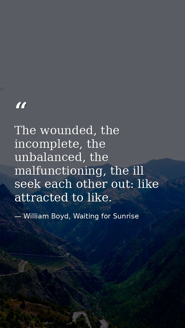 The wounded, the incomplete, the unbalanced, the malfunctioning, the ill seek each other out: like attracted to like. — William Boyd, Waiting for Sunrise