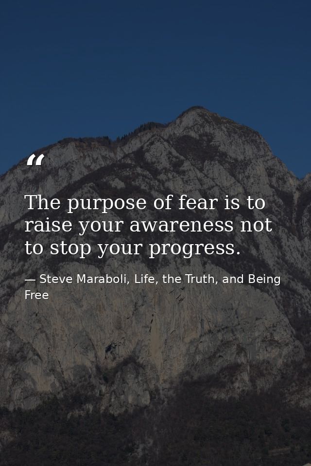 The purpose of fear is to raise your awareness not to stop your progress. — Steve Maraboli, Life, the Truth, and Being Free