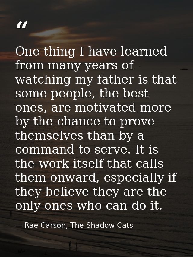 One thing I have learned from many years of watching my father is that some people, the best ones, are motivated more by — Rae Carson, The Shadow Cats