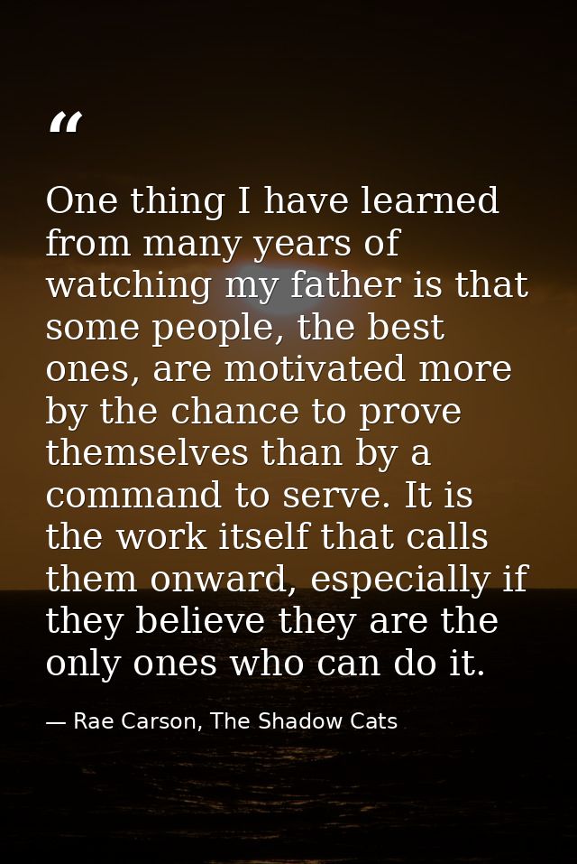 One thing I have learned from many years of watching my father is that some people, the best ones, are motivated more by — Rae Carson, The Shadow Cats