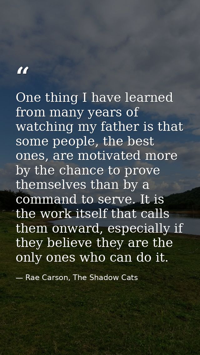 One thing I have learned from many years of watching my father is that some people, the best ones, are motivated more by — Rae Carson, The Shadow Cats