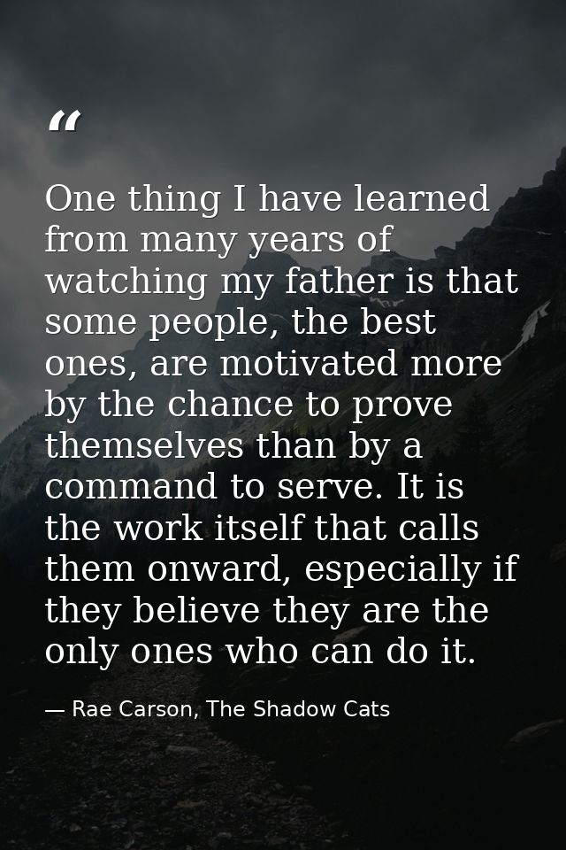 One thing I have learned from many years of watching my father is that some people, the best ones, are motivated more by — Rae Carson, The Shadow Cats