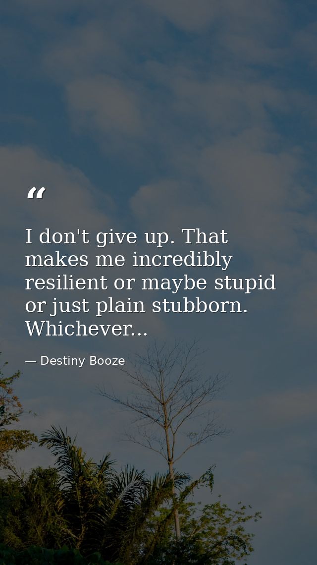 I don't give up. That makes me incredibly resilient or maybe stupid or just plain stubborn. Whichever... — Destiny Booze