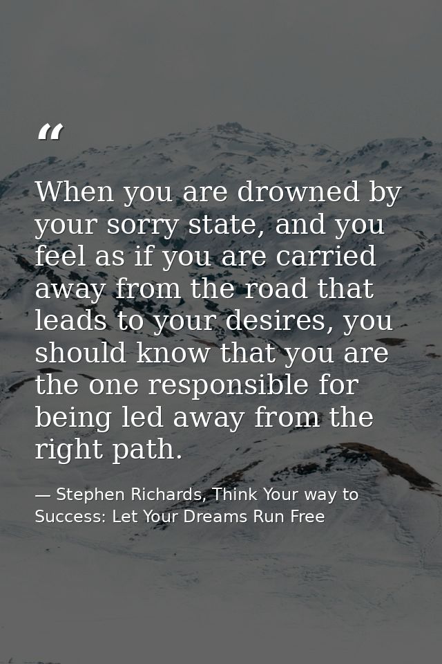 When you are drowned by your sorry state, and you feel as if you are carried away from the road that leads to your desir — Stephen Richards, Think Your way to Success: Let Your Dreams Run Free