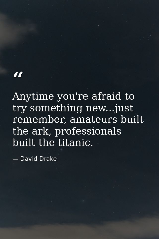 Anytime you're afraid to try something new...just remember, amateurs built the ark, professionals built the titanic. — David Drake