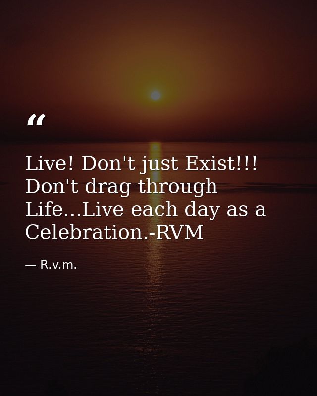 Live! Don't just Exist!!! Don't drag through Life...Live each day as a Celebration.-RVM — R.v.m.