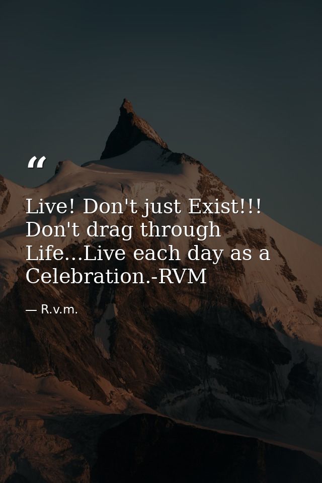 Live! Don't just Exist!!! Don't drag through Life...Live each day as a Celebration.-RVM — R.v.m.