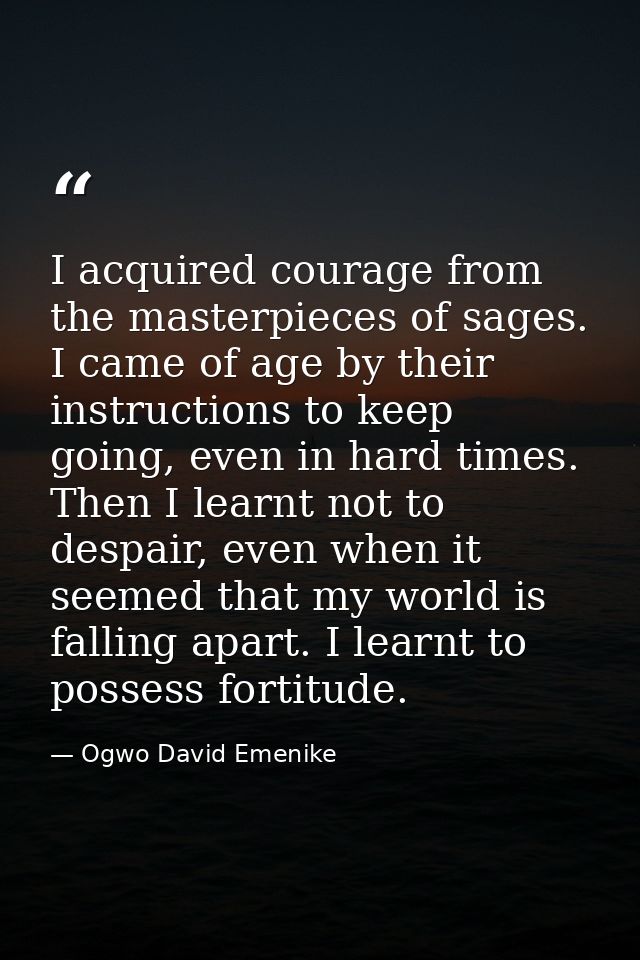 I acquired courage from the masterpieces of sages. I came of age by their instructions to keep going, even in hard times — Ogwo David Emenike