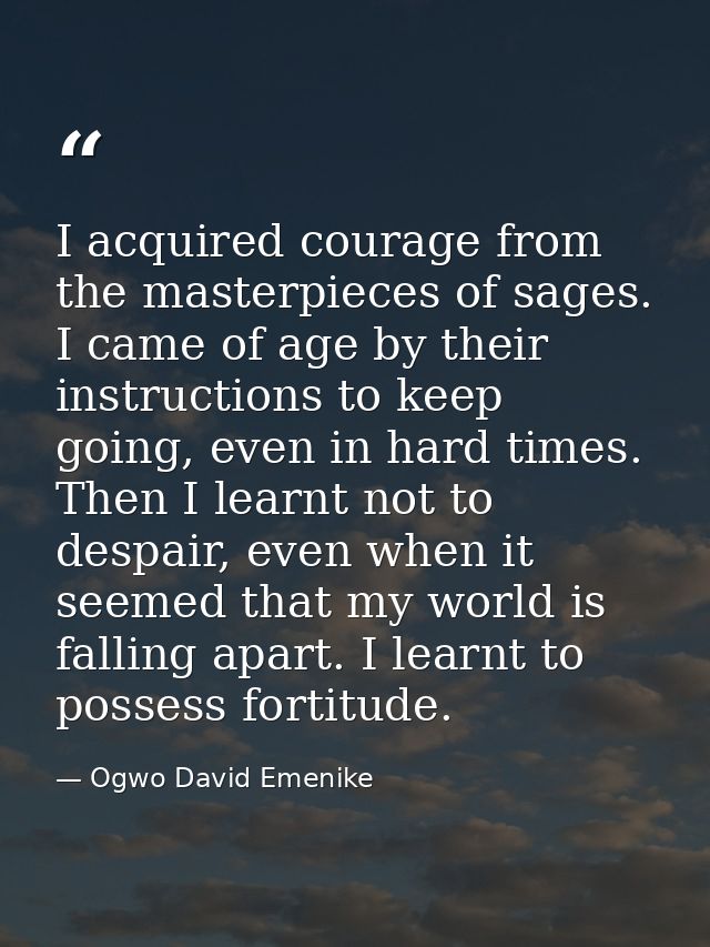 I acquired courage from the masterpieces of sages. I came of age by their instructions to keep going, even in hard times — Ogwo David Emenike