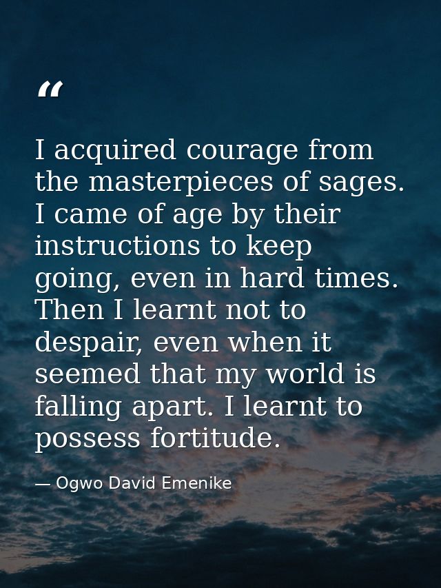 I acquired courage from the masterpieces of sages. I came of age by their instructions to keep going, even in hard times — Ogwo David Emenike