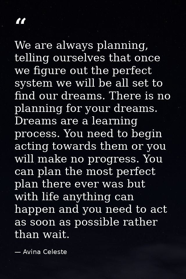We are always planning, telling ourselves that once we figure out the perfect system we will be all set to find our drea — Avina Celeste