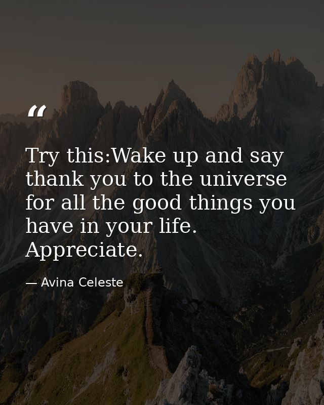 Try this:Wake up and say thank you to the universe for all the good things you have in your life. Appreciate. — Avina Celeste