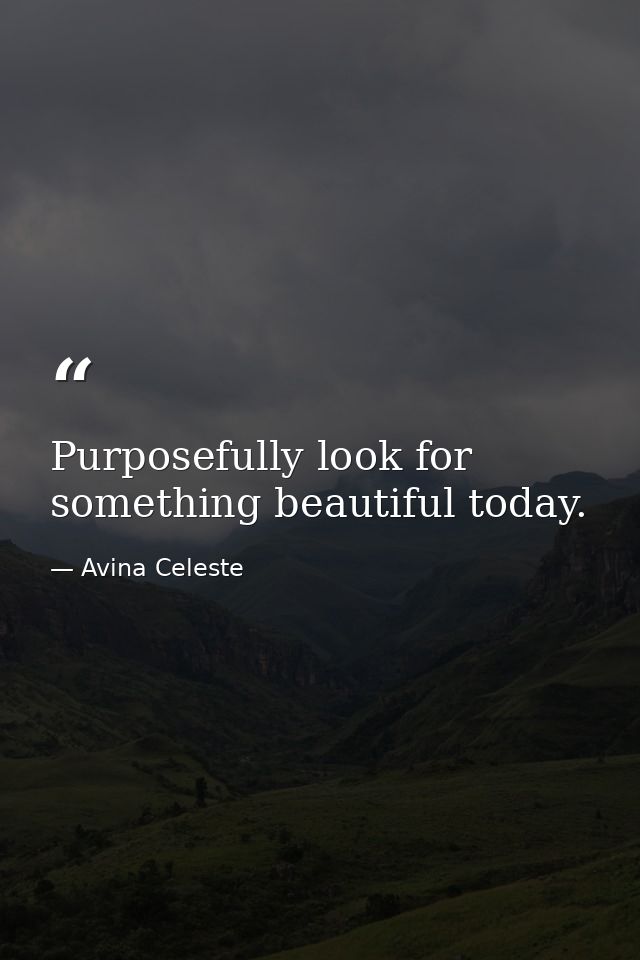 Purposefully look for something beautiful today. — Avina Celeste