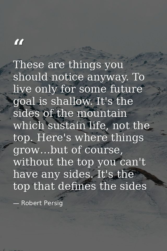 These are things you should notice anyway. To live only for some future goal is shallow. It's the sides of the mountain  — Robert Persig