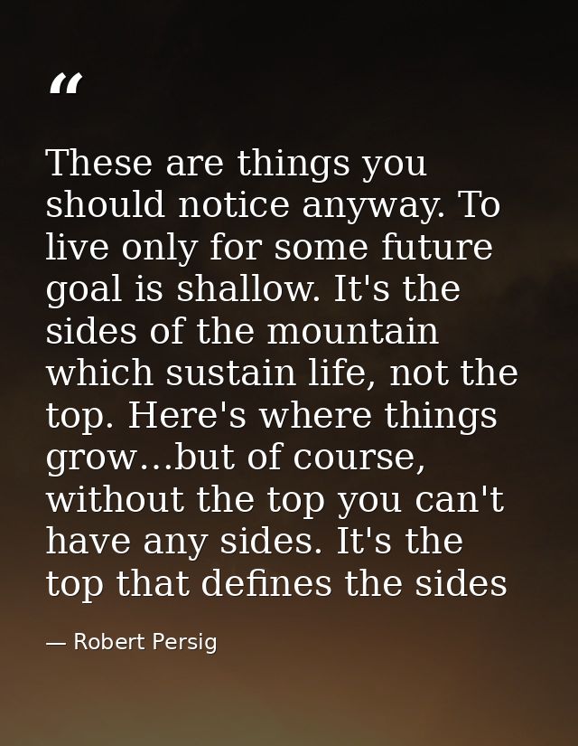 These are things you should notice anyway. To live only for some future goal is shallow. It's the sides of the mountain  — Robert Persig