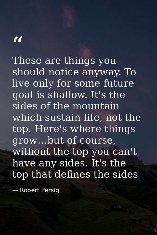 These are things you should notice anyway. To live only for some future goal is shallow. It's the sides of the mountain  — Robert Persig