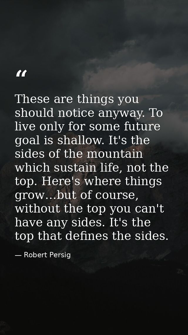 These are things you should notice anyway. To live only for some future goal is shallow. It's the sides of the mountain  — Robert Persig