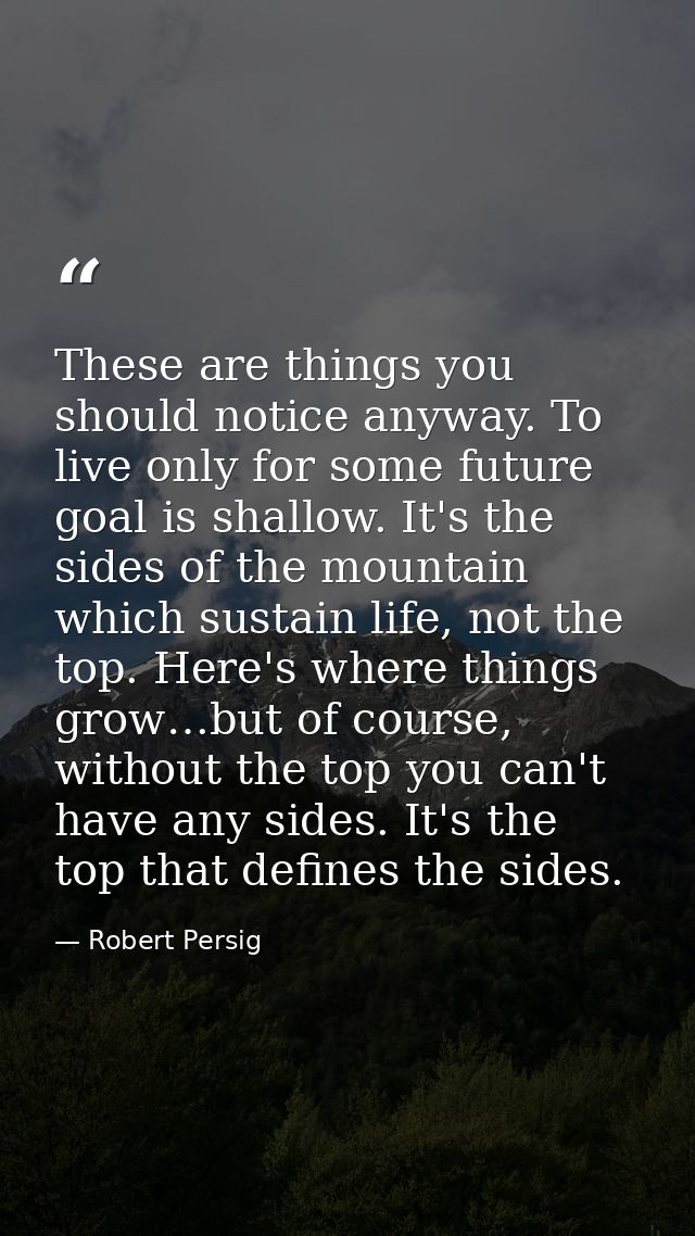 These are things you should notice anyway. To live only for some future goal is shallow. It's the sides of the mountain  — Robert Persig