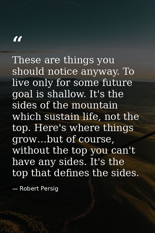 These are things you should notice anyway. To live only for some future goal is shallow. It's the sides of the mountain  — Robert Persig