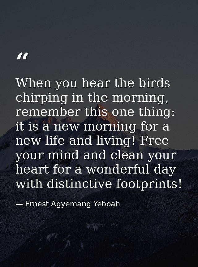 When you hear the birds chirping in the morning, remember this one thing: it is a new morning for a new life and living! — Ernest Agyemang Yeboah