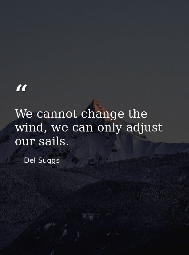 We cannot change the wind, we can only adjust our sails. — Del Suggs