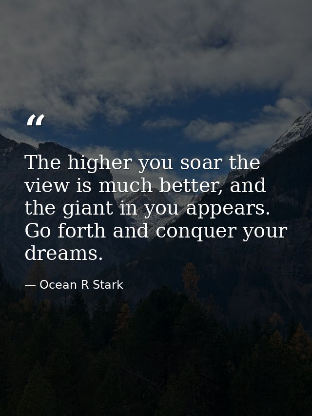 The higher you soar the view is much better, and the giant in you appears. Go forth and conquer your dreams. — Ocean R Stark