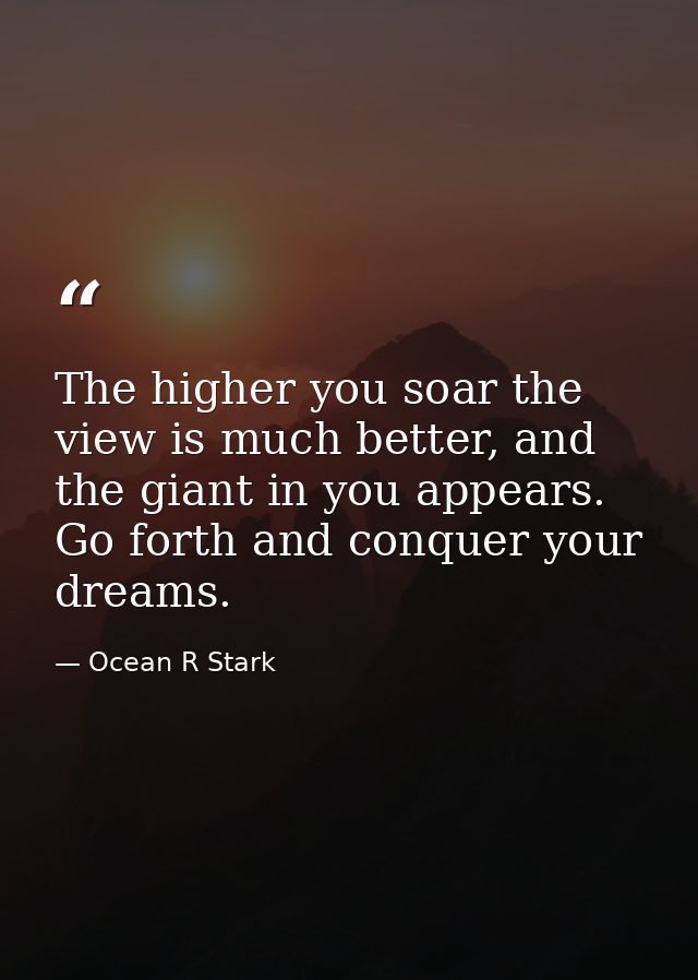 The higher you soar the view is much better, and the giant in you appears. Go forth and conquer your dreams. — Ocean R Stark