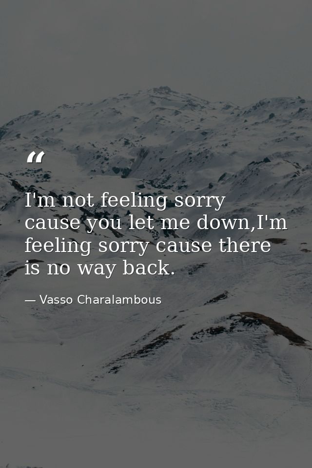 I'm not feeling sorry cause you let me down,I'm feeling sorry cause there is no way back. — Vasso Charalambous