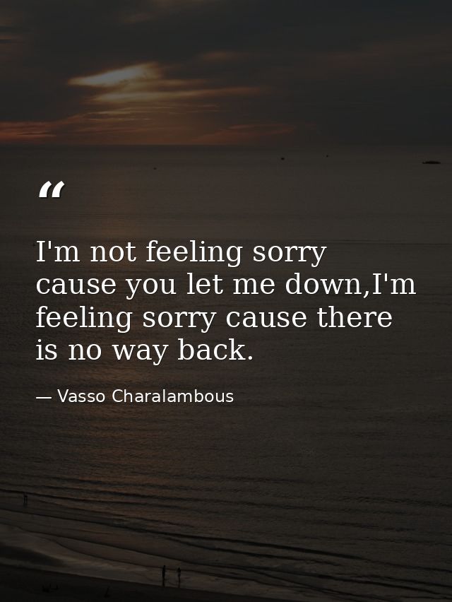 I'm not feeling sorry cause you let me down,I'm feeling sorry cause there is no way back. — Vasso Charalambous